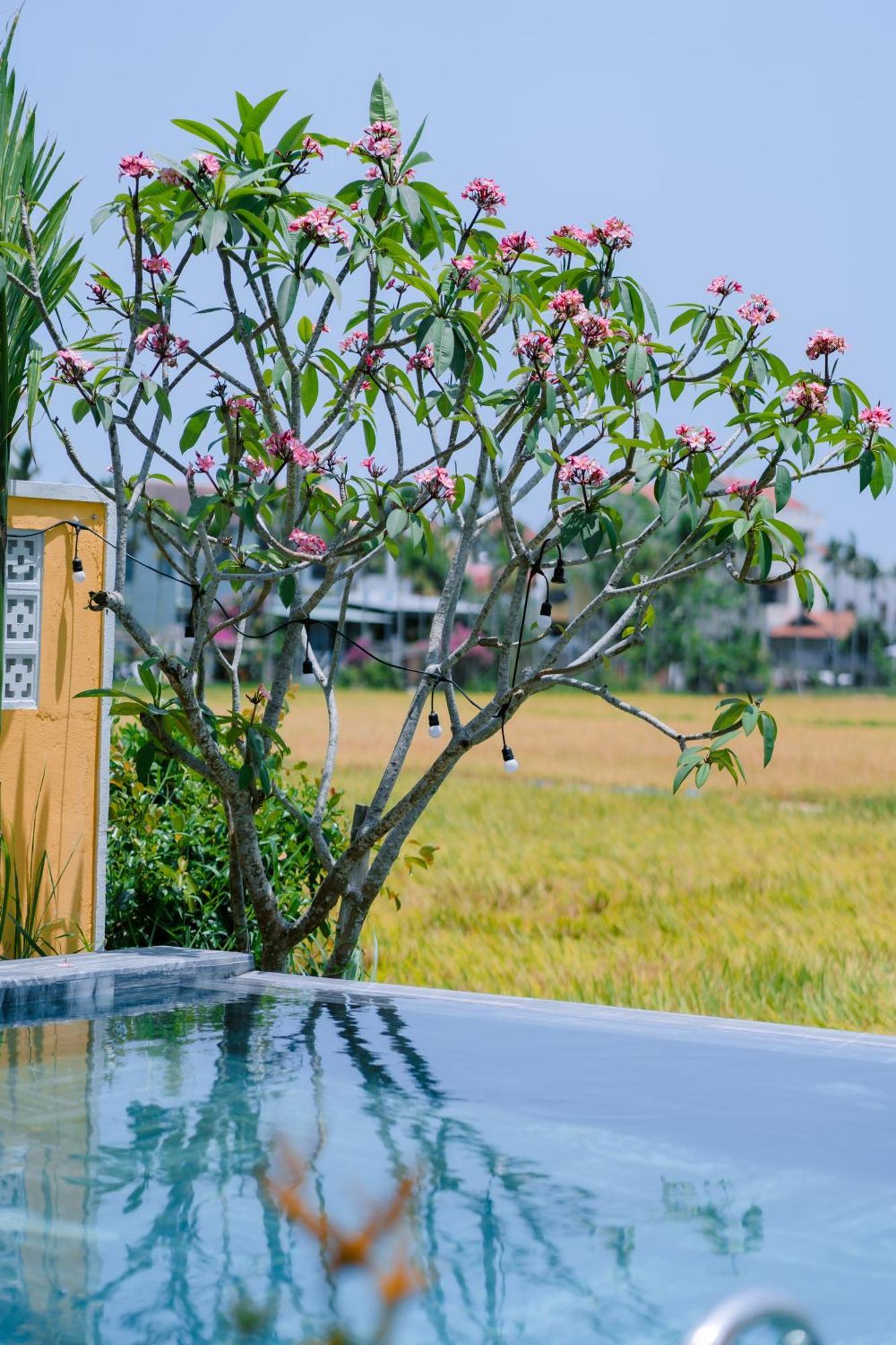 Bs Jade Home Hoi An Luaran gambar