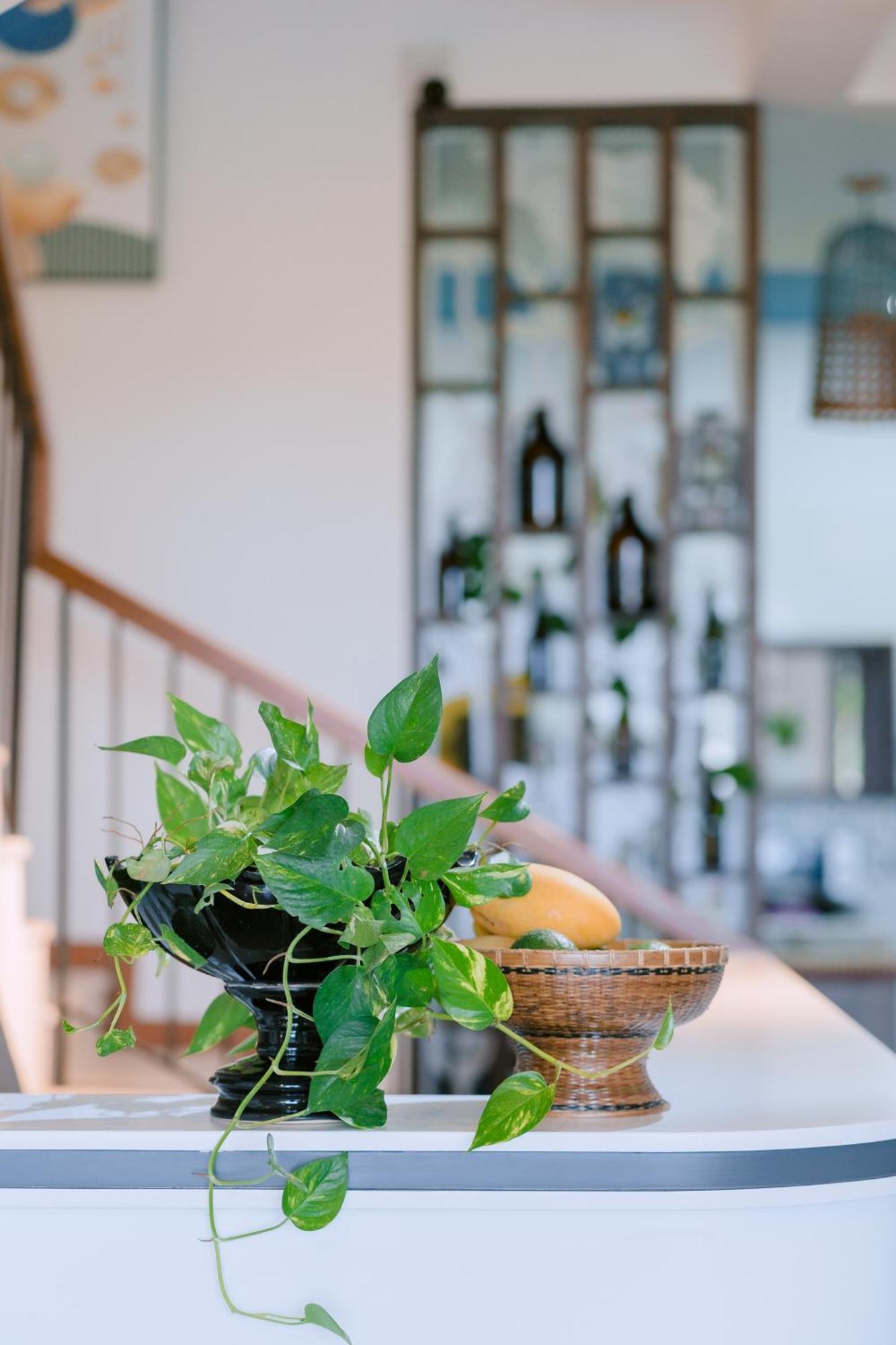 Bs Jade Home Hoi An Luaran gambar